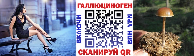 Псилоцибиновые грибы Psilocybe  shop телеграм  Петропавловск-Камчатский 